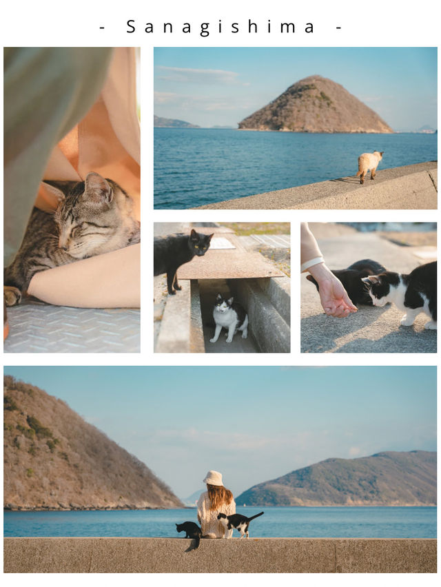 【保存版】にゃんこで溢れる瀬戸内の猫島5選！