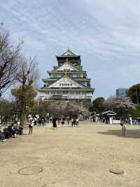 【2024年桜】大阪城公園ちょっと穴場の桜