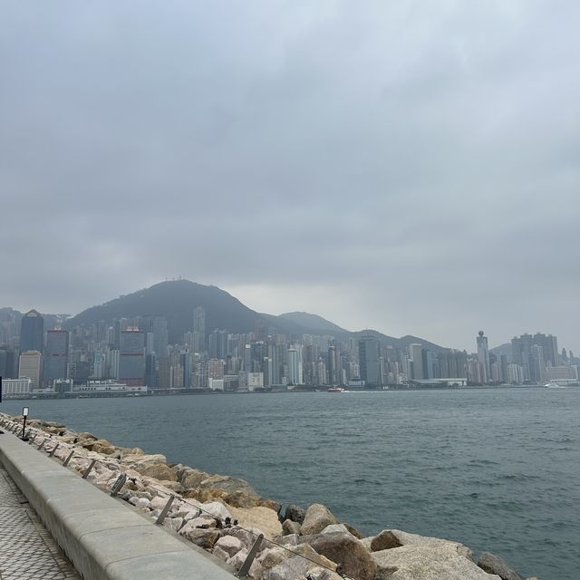홍콩 서구룡 문화지역 아트파크 🌳