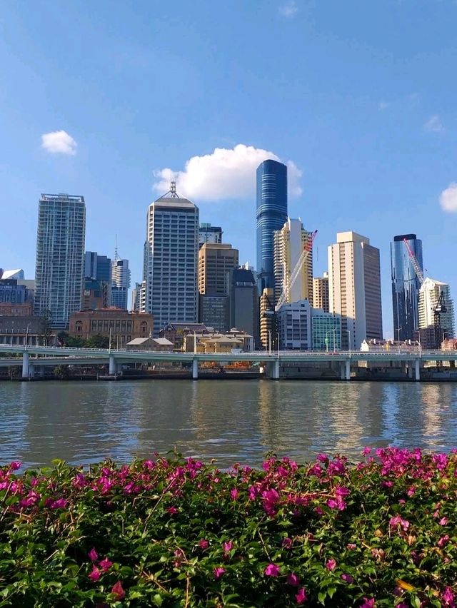 The Wheel of Brisbane