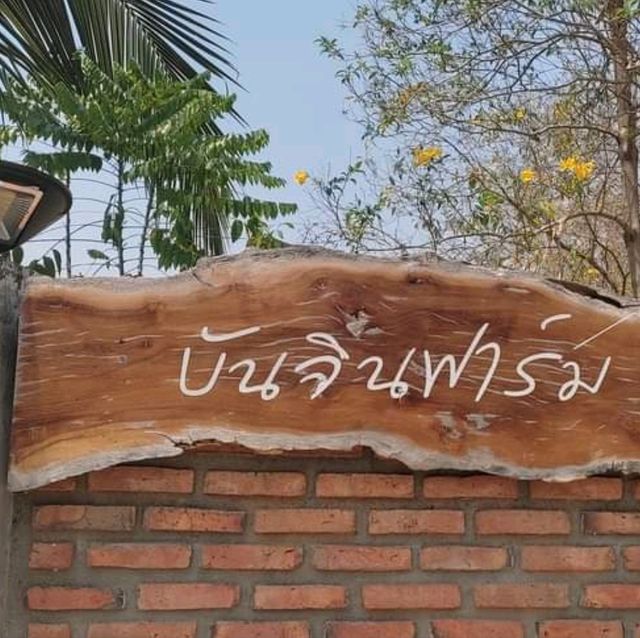 Bunjin’s Farm ลำพูน