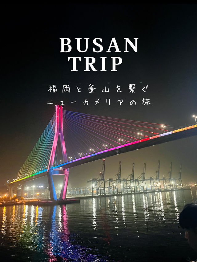 【釜山旅行】ニューカメリアで行く釜山の旅🚢