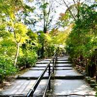 【宮島ロープウェイ/広島県】御神体の弥山へと誘う道