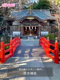 【貫井神社/東京都】湧水流れる美しい境内