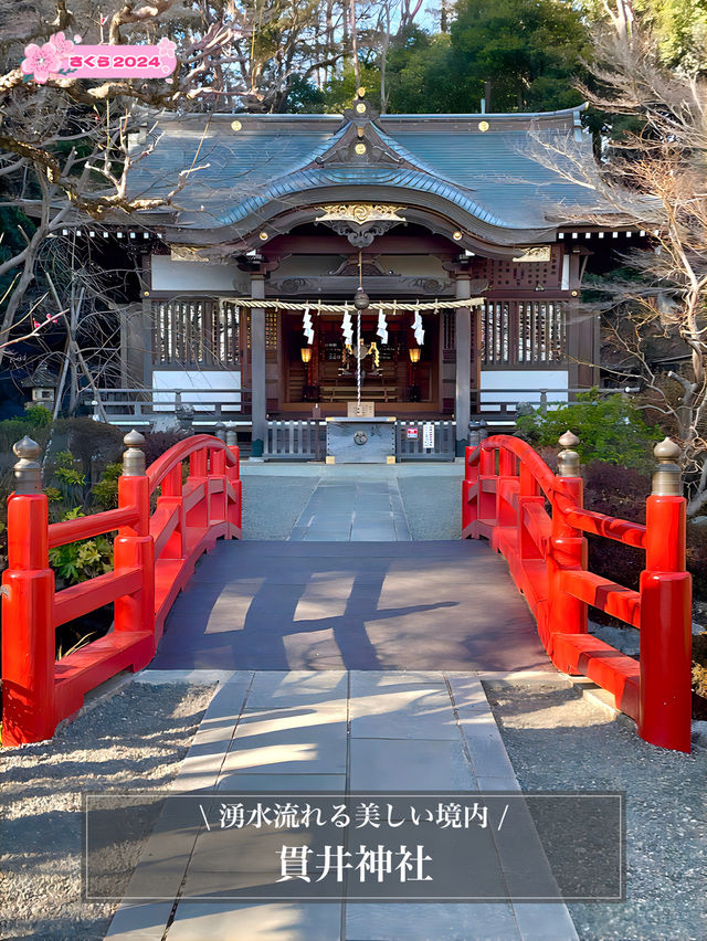 【貫井神社/東京都】湧水流れる美しい境内