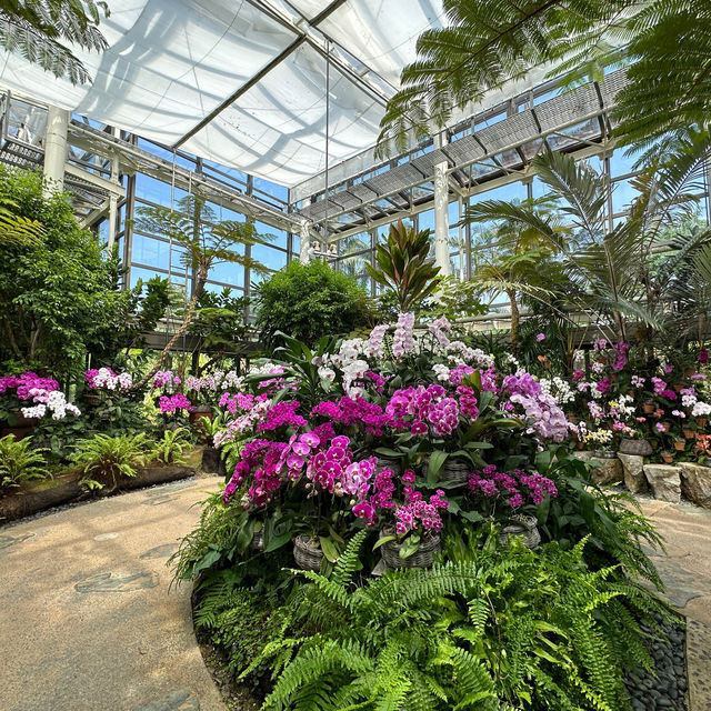 【沖縄】美しい草花と建物！熱帯ドリームセンター