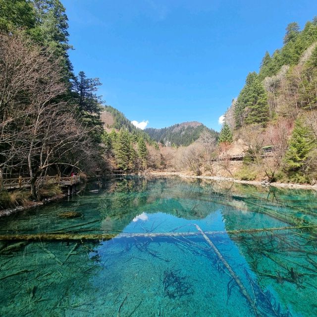 "Jiuzhaigou: A Natural Wonderland of Tranquility and Beauty"