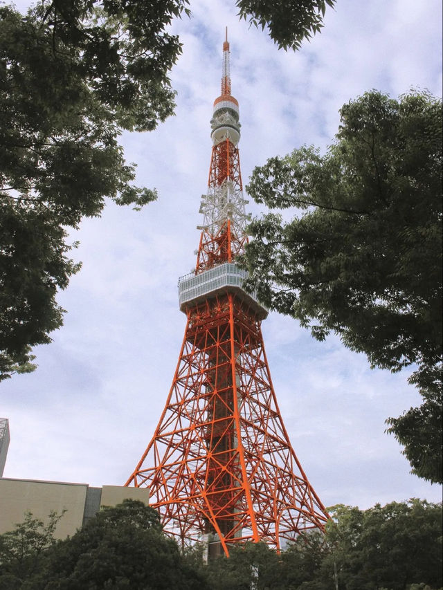 隨風漫步，京都與東京的詩意生活