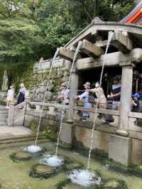 【京都観光】もうこんなに人の少ない「清水寺」は行けないかもしれない？