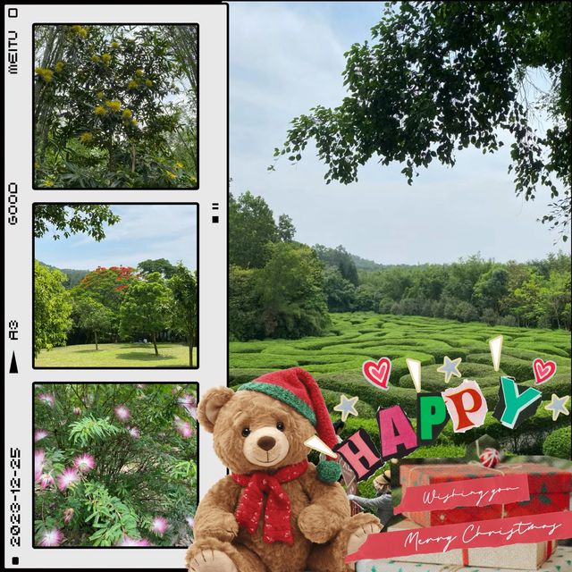 役政公園～綠洲中的湖光山色～寧靜放鬆
