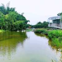洪湖公園