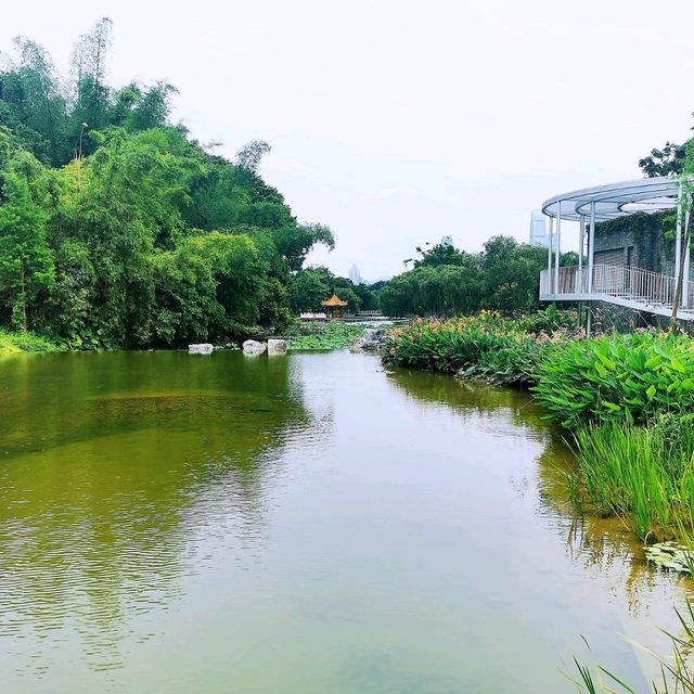 洪湖公園