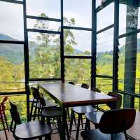 🌄 Vwrdant Beauty at Cameron Highlands 🍵