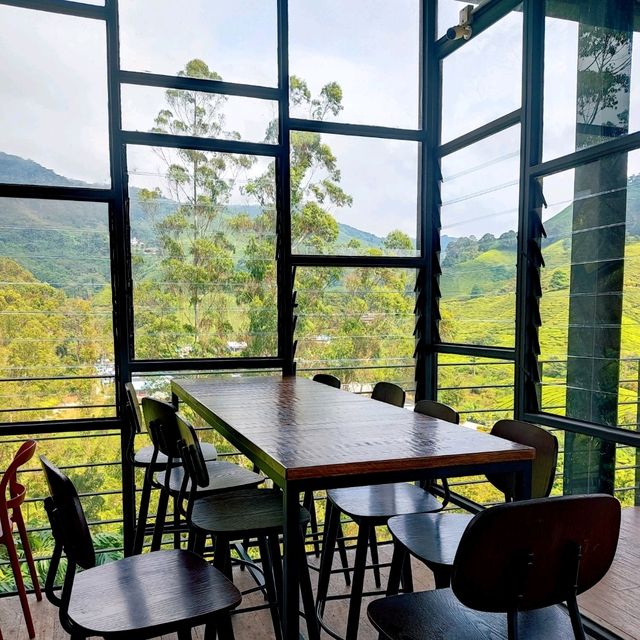 🌄 Vwrdant Beauty at Cameron Highlands 🍵