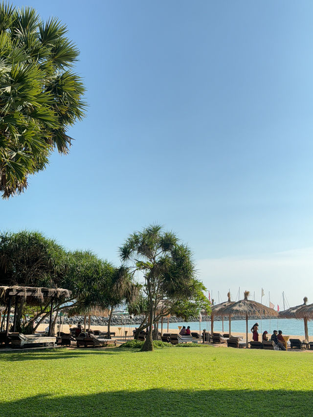 Botany Beach ที่พักฟีลธรรมชาติ ติดทะเลหาดจอมเทียน