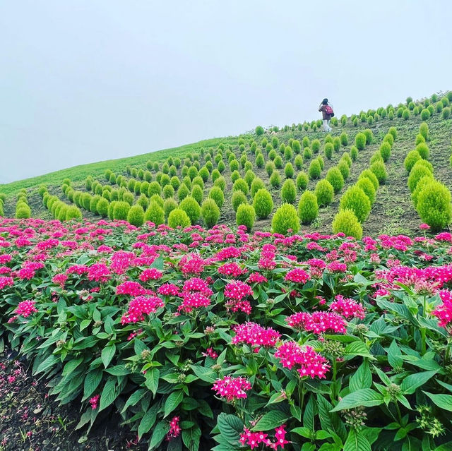 箱館山