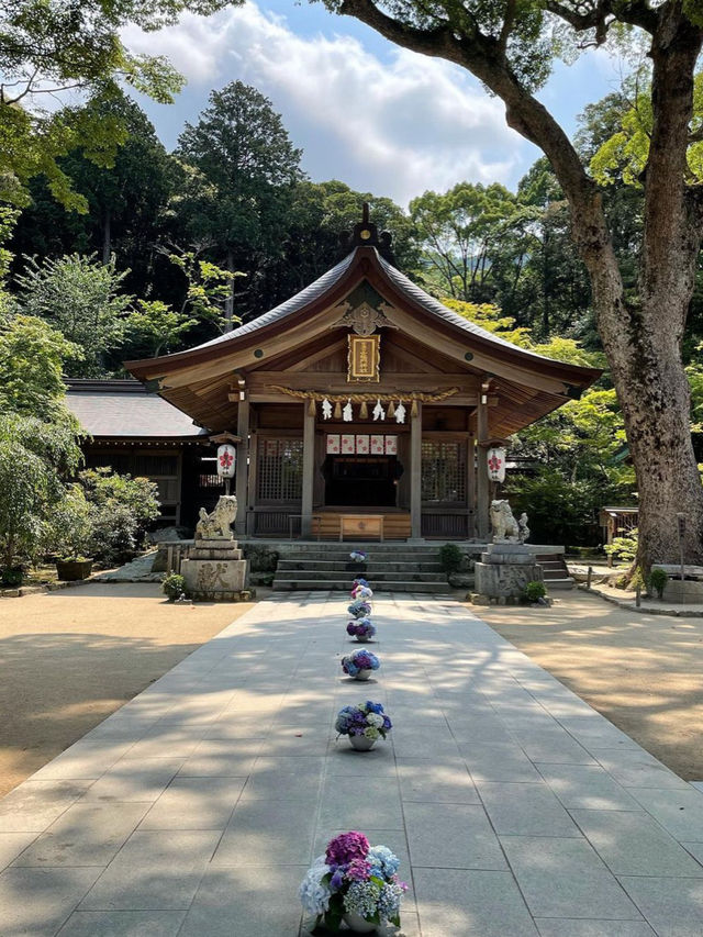 【福岡観光】有名アニメでも有名になった竈門神社