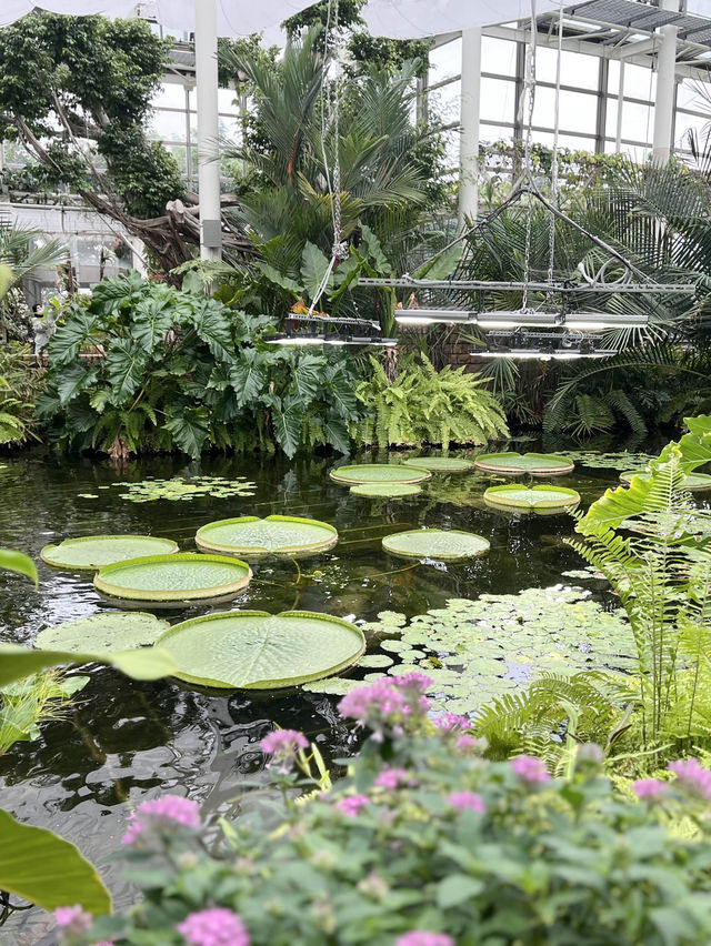 【沖縄 本部】雨の日でも楽しめるオススメSPOT🌸