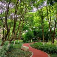 坦洲山公園～享受自然氣息