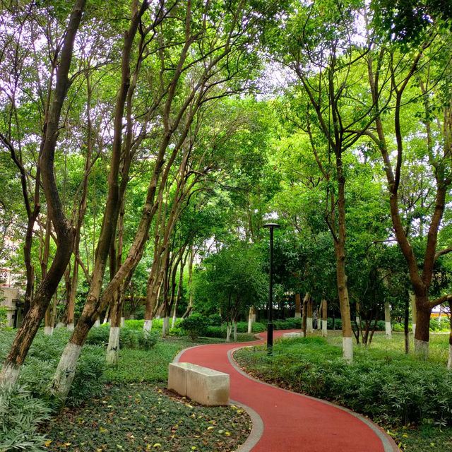 坦洲山公園～享受自然氣息