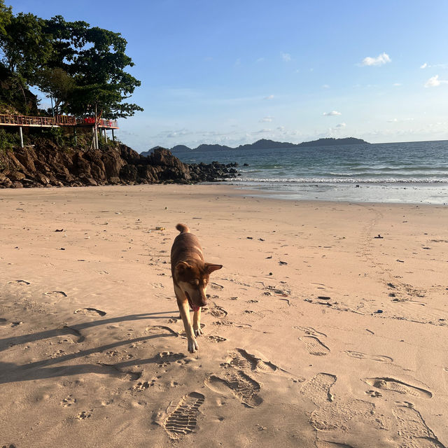 หาดฝรั่ง
