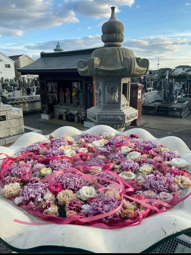 【📍川越】テレビドラマのロケ地📺花手水発祥のお寺🌸💐