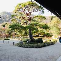 【京都観光】世界文化遺産である天龍寺