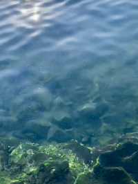 澎湖夏日怎麼玩☀️⛱️🐬🍻