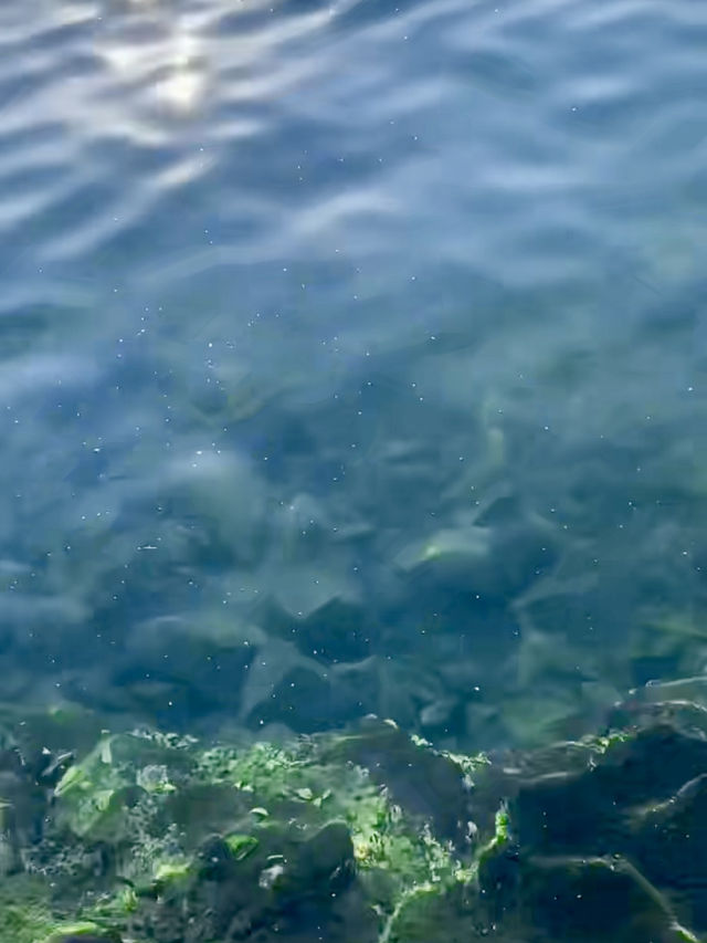 澎湖夏日怎麼玩☀️⛱️🐬🍻