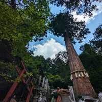日本京都-享受深山古剎的悠閑寧靜：鞍馬寺