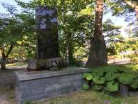 靈性與自然的交織：探訪八幡秋田神社