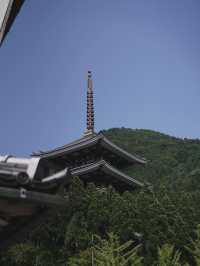 福井と言えばの越前大仏。