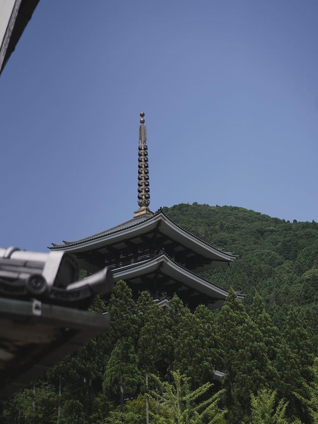 福井と言えばの越前大仏。