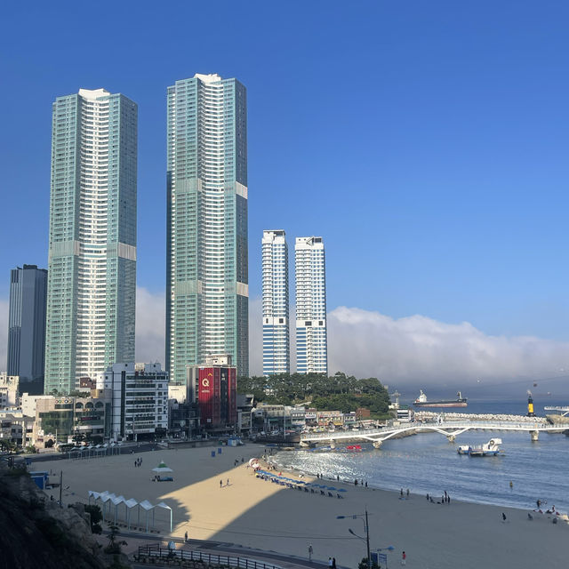 부산 최고의 명소로 급부상 중인 송도해수욕장!!