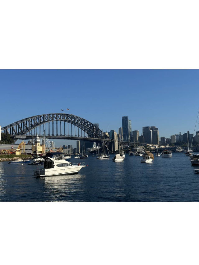 🇦🇺호주 시드니 하버브리지 포토존, 퀴바리 공원