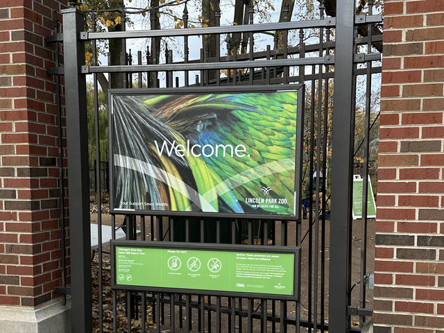 【美國🇺🇸芝加哥】☀️免費入場☀️林肯公園動物園，觀賞動物，適合全天遊玩