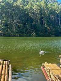 ปางอุ๋ง | สวิตเซอร์แลนด์เมืองไทยในหน้าฝน