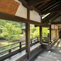〜埼玉県〜穴場！喜多院川越！美しい日本の寺