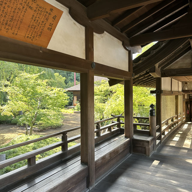 〜埼玉県〜穴場！喜多院川越！美しい日本の寺