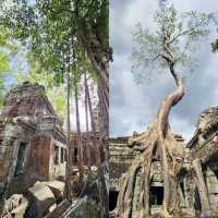 Tombraiding at the Angkor Wat 🛕