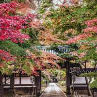 【東漸寺】千葉県・松戸市