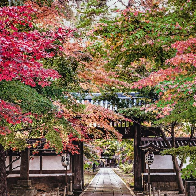 【東漸寺】千葉県・松戸市