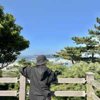 제주여행🏝️ 여덟번째 오름, 환상적인 뷰를 자랑하는 식산봉💚