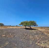 Baluran National ParkTaman Nasional Baluran