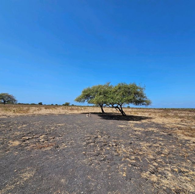 Baluran National ParkTaman Nasional Baluran