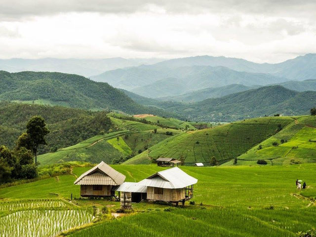 บ้านป่าบงเปียง