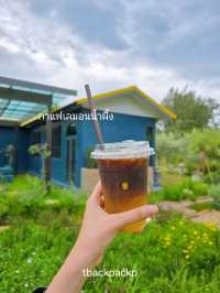Pasutara สวนเลม่อน สวนผึ้งห้ามพลาดเลยน๊า 🍋