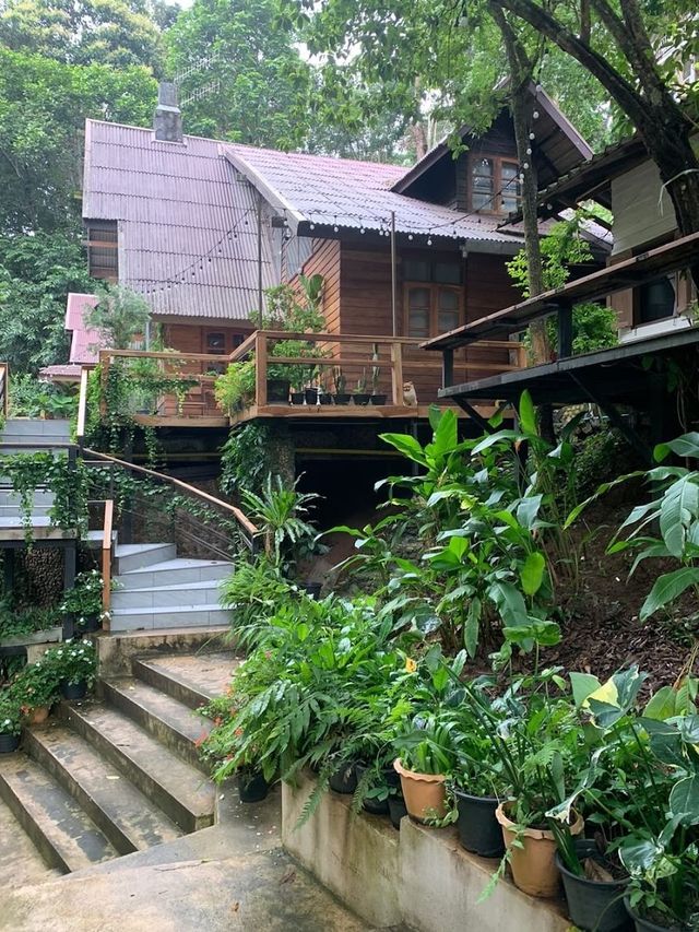 📍April cottage แม่กำปอง