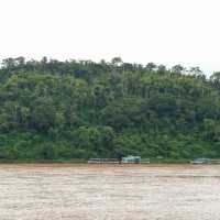 Tropical Mekong