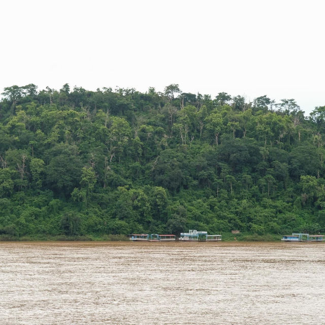 Tropical Mekong
